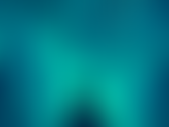 The CIWO Advantage: Transforming Leadership to Orchestrate the Human and AI Workforce