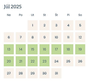 T1 - Jún 2025.png