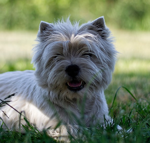 _DSC0064_DxO.jpg