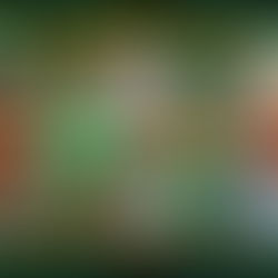 ASA All Member 2026: Thailand Only