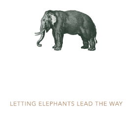 Following Giants Krabi logo