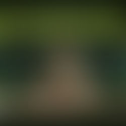 THE EXPO: ASA100 SUSTAINABLE GOAL