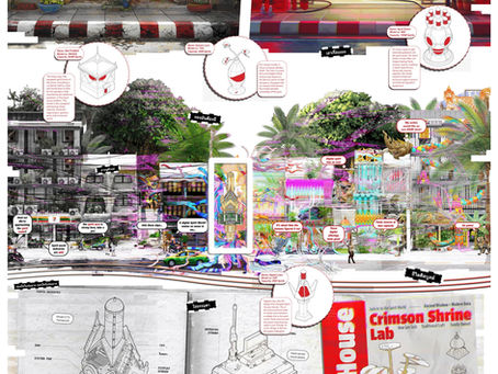 2nd Prize: General Public (LNW6164)