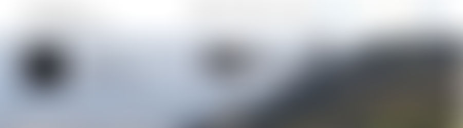 ASA FILM ON DWELLING no.2 (Microtopia)