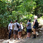 DSC_1169.JPG