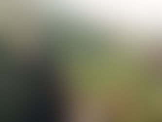 Unveiling the Top 10 Road Trip Destinations with Radheya Car Rentals in Pune