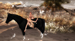 DS'ELLES - ALCALINE horse - 20 poses