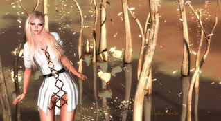 Elegance Boutique Tunic & Harness "Zara"