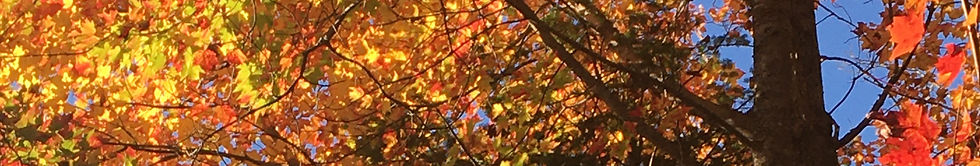 IMG_2474_edited.jpg