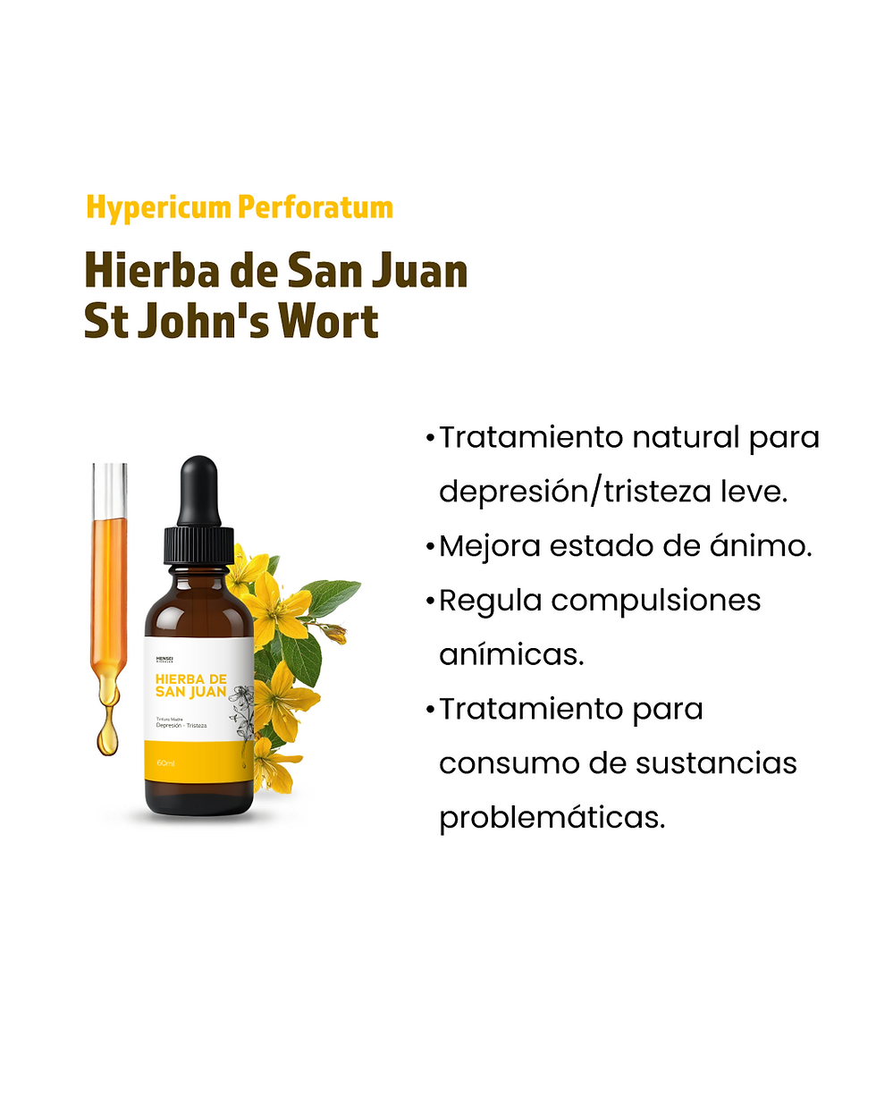 Miniatura: 3 Unid  St John's Wort Depresión Tristeza Hierba De San Juan Doble extracción