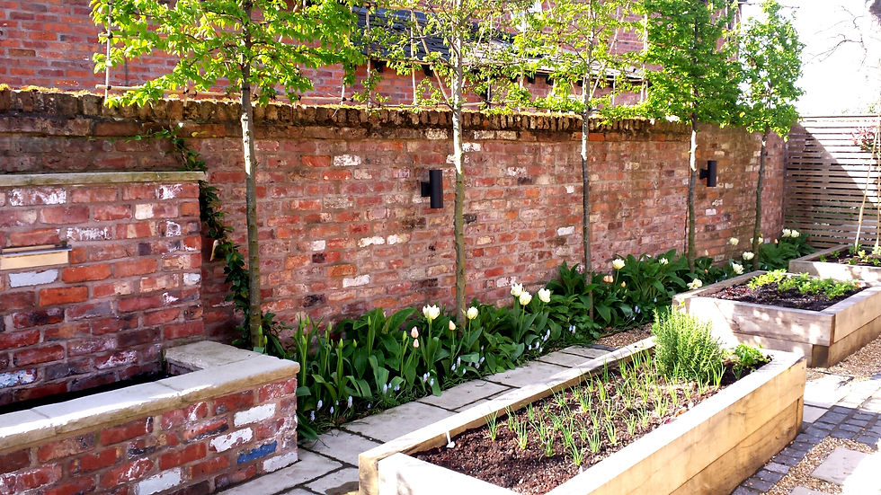 Spruce & Dunn TULIPS APRIL 2015 011
