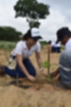 Planting tree seedling.