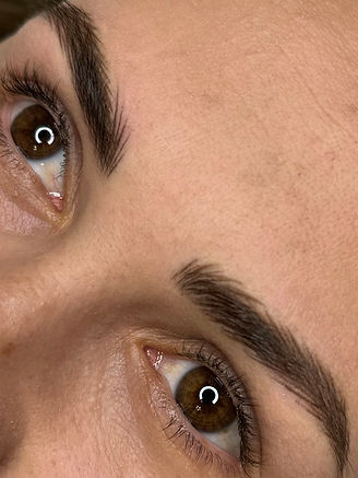 Tehnica hairstrokes.jpeg