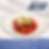 Tomato with cheese mousse and pesto 350g