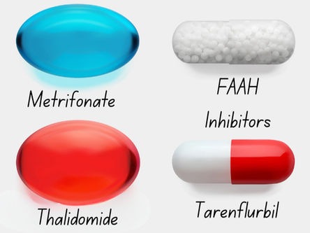 Four drugs that were initially deemed safe but developed but with tragic results, including Thalidomie, Metrifonate, FAAH Inhibitors and Tarenflurbil.