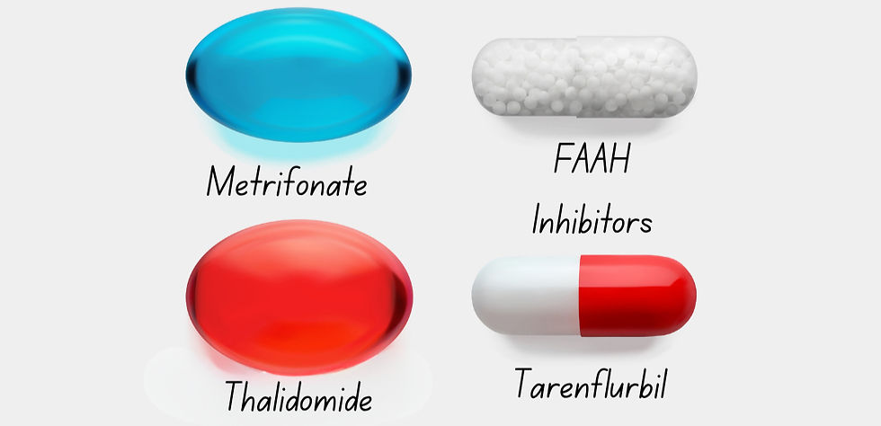 Four drugs that were initially deemed safe but developed but with tragic results, including Thalidomie, Metrifonate, FAAH Inhibitors and Tarenflurbil.