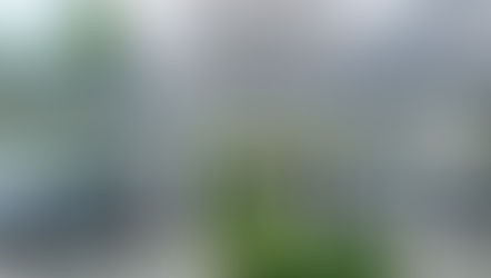 Dizel ve Benzinli Araçların Çevreye ve İnsan Sağlığına Verdikleri Zararlar