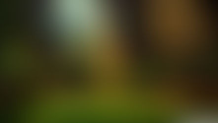 Yeşil Bina Sertifikası