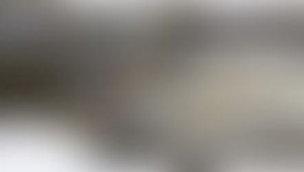 Pandemi Sadece İnsanlarda Olmuyor ve Dünyadaki Tüm Hayvanlar Pandami İçinde!