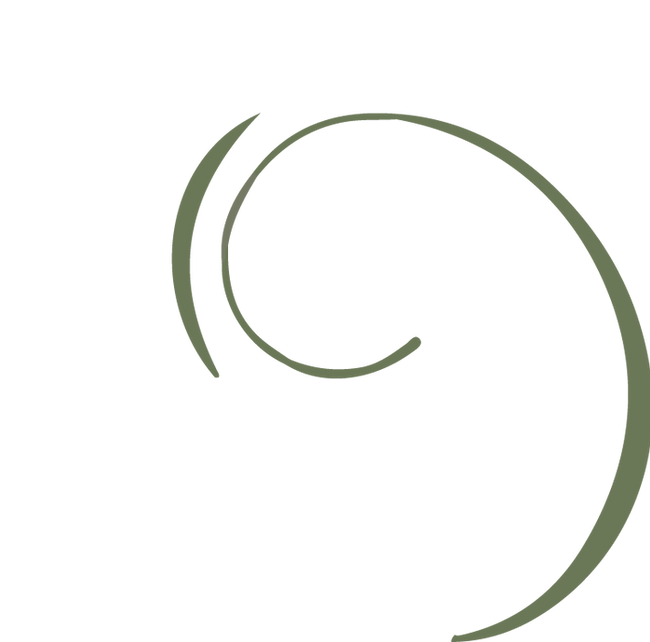 CURVAS LOGO.png