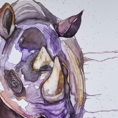 Black Rhino, framed, 22"x28"