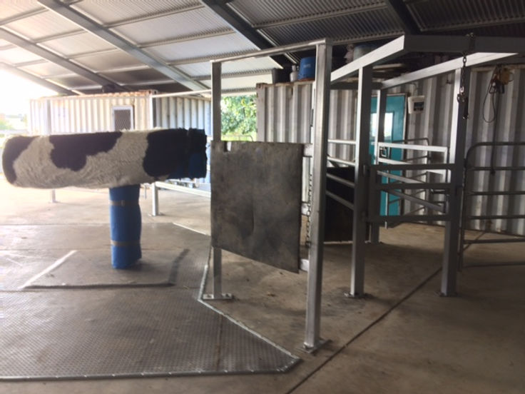 breeding area.JPG