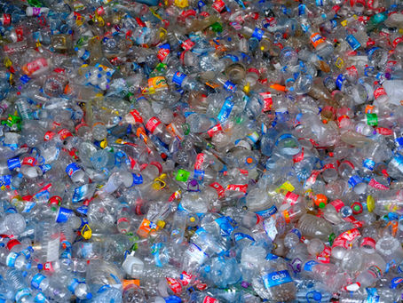 Acqua in bottiglia vs depuratore: quanto risparmi davvero?