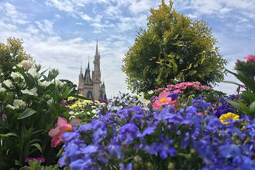 Disneyland Castle Landscape 1.jpg