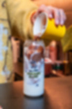 Morning Glory_-81.jpg