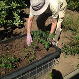 image_7 (2).jpeg