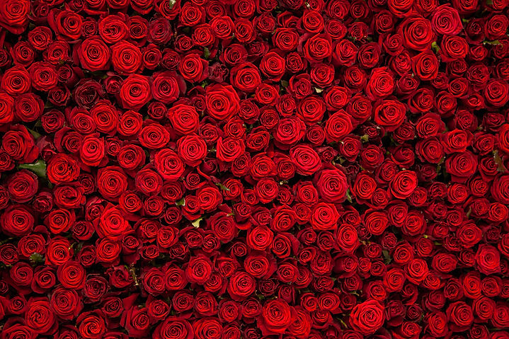 AdobeStock_201289558.jpeg