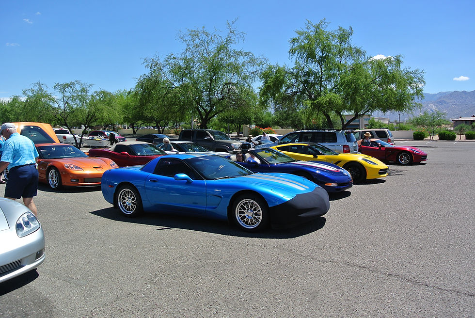 Staging Area for Mystery meal