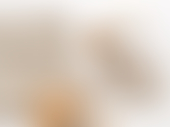 Know Your Wood: Choosing the Right Wood for Your Furniture