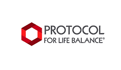 protocol.png