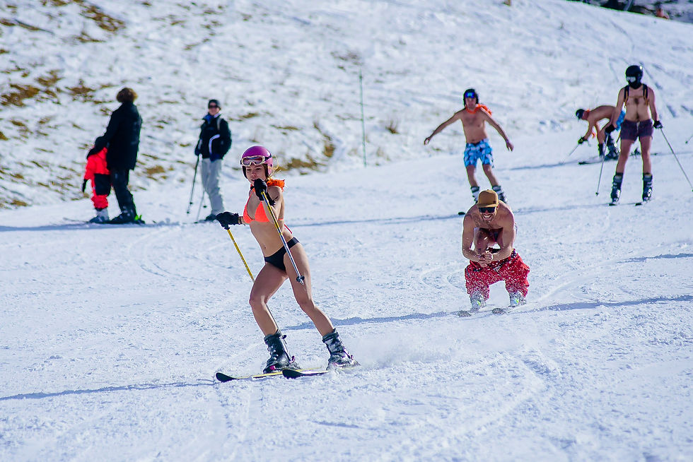 Miniatura: SNOWATTACK FESTIVAL ALPES DEL 25 DE ENERO AL 01 DE FEBRERO