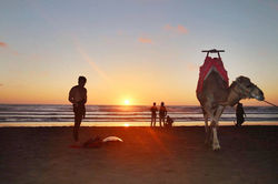 viajes de surf , surfcamps españa