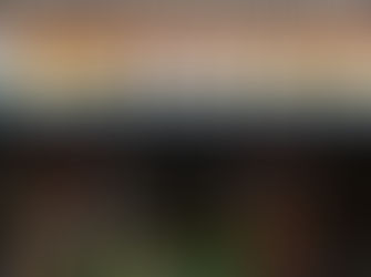 Mejores tiendas de surf en Madrid