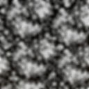 Monochrome Ditsy floral pattern