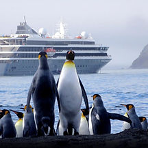World Navigator in Antarctica with pengu