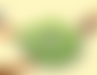 ¿Tienes ingresos por dividendos? Conoce tu Régimen 