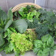 4 Acres Hydroponics