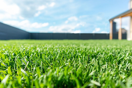 lawn.jpeg