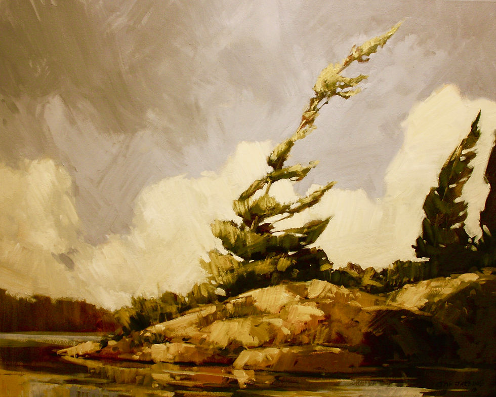 Tree on the French River