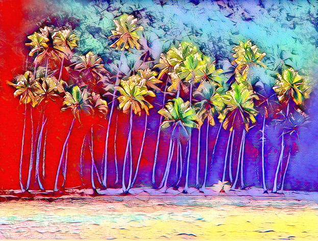 Trees Lining the Ocean