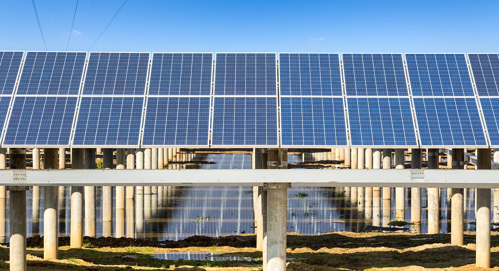 Rows of blue solar panels on poles above flooded ground under a clear sky