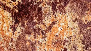 Close-up of rusted metal surface illustrating corrosion caused by salt air in coastal environments.