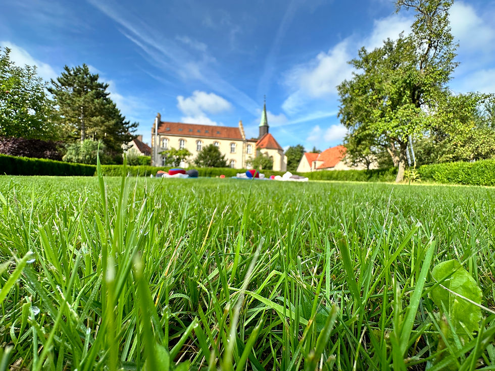 Za Zen Seminar im Kloster Vinnenberg Nähe Warendorf, Mai 2026