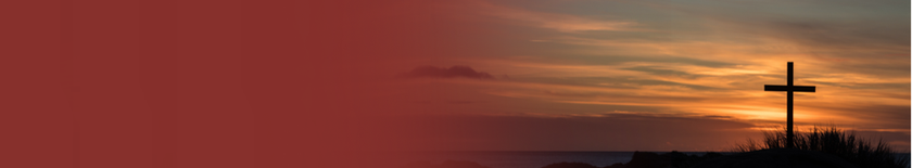Untitled design (2).png