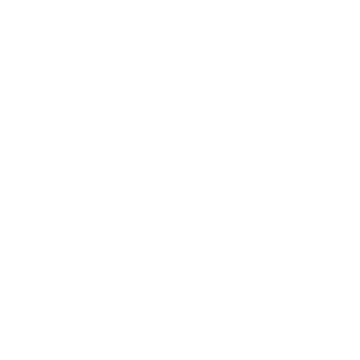 WhatsApp icon