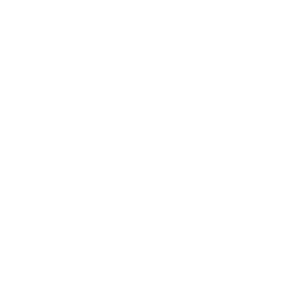 youtube icon